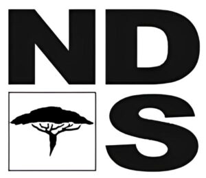 NDS-Logo (1)
